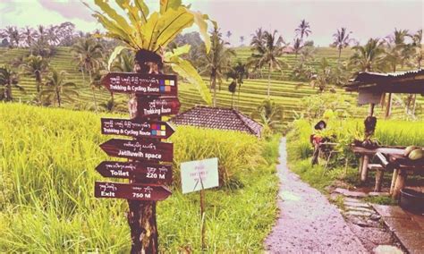 Jatiluwih Rice Terraces: 16 Tips for Your Visit - A Piece of Travel