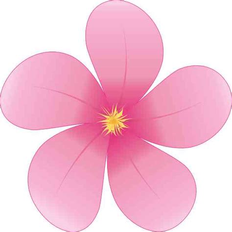 4in x 4in Pink Flower Sticker Vinyl Tumbler Decal Floral Vehicle ...