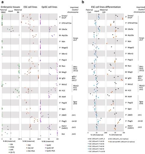 Allele Specific Rna Seq Expression Profiling Of Imprinted Genes In