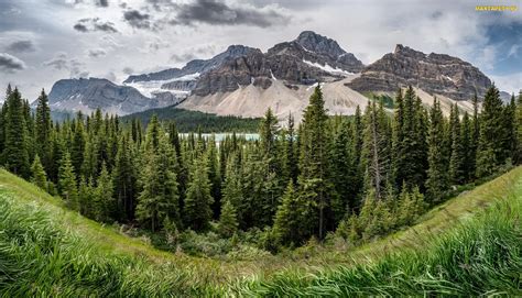 Tapety zdjęcia Góry Park Narodowy Banff Kanada Drzewa Chmury