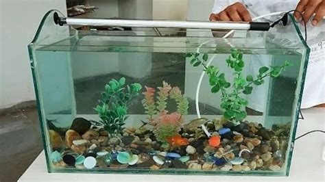 Transparent Glass Tank Aquariums Packaging Type Box At Best Price In