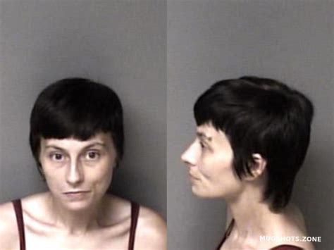 Stone Ashley Jean Gaston County Mugshots Zone