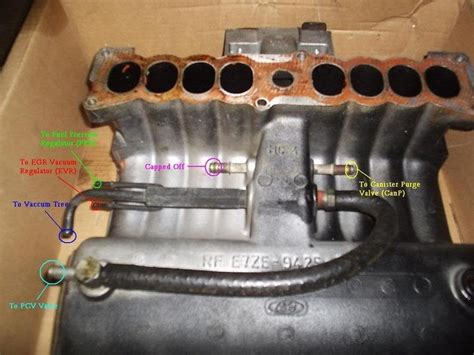 1999 Cobra Enginepartment Vacuum Diagrams