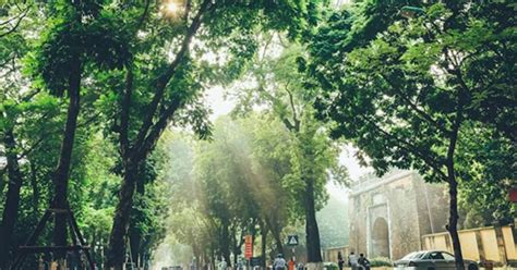 Top Des Choses Faire Hanoi En Automne