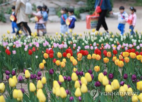 영상포토 뉴스 4월19일 금요일 네이버 블로그