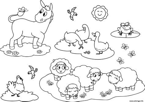 Coloriage Animaux De La Ferme Pour Enfants Ane Oie Poule Moutons Et