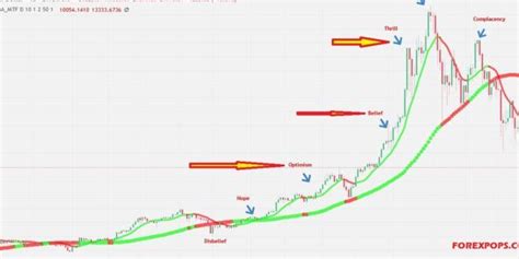 Forex Trading Guide Wall Street Cheat Sheet 2024