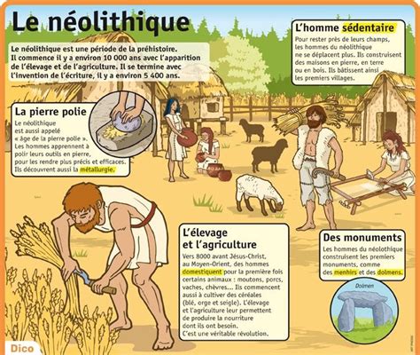 Le néolithique Cours histoire Chronologie histoire Mon petit quotidien