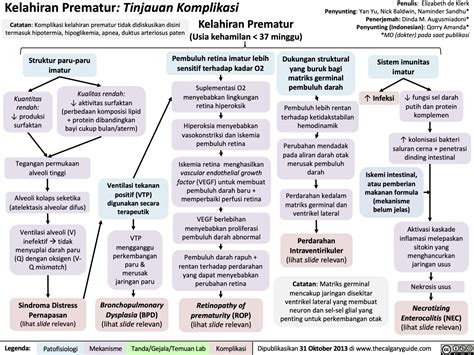 Kelahiran Prematur Tinjauan Komplikasi Calgary Guide