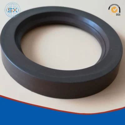 Viton Fkm Rubber Rotary Shaft Elastomer Lip Oil Seal China Oil Seal