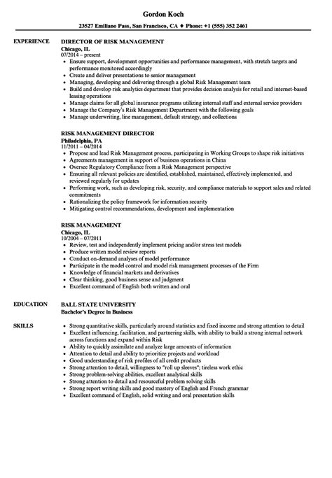 Risk Management Resume Samples Velvet Jobs