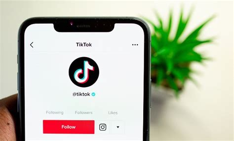 C Mo Monetizar Y Ganar Dinero En Tiktok Gu A Tiktoker