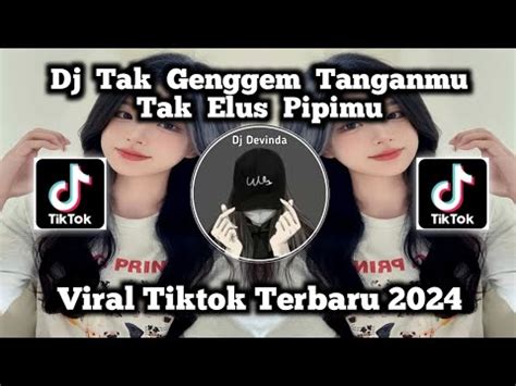 DJ TAK GENGGEM TANGANMU TAK ELUS PIPIMU DJ TULUS REMIX VIRAL TIKTOK