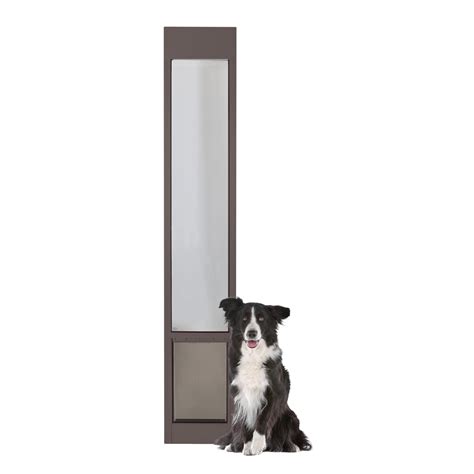What Is The Best Dog Door For Sliding Glass Door