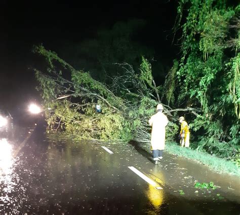 Temporal Derruba árvores E Destelha Casas Em Estrela