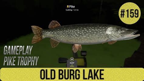 Russian Fishing Old Burg Lake Gameplay Pike Trophy Youtube