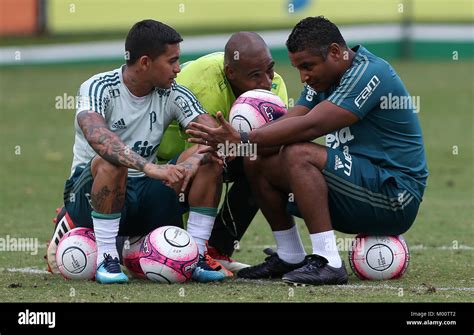 S O Paulo Sp Treino Do Palmeiras Coach Roger Machado