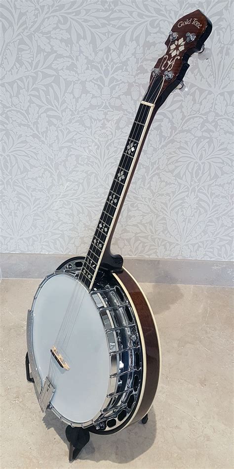 Pure Banjo Gold Tone Ts 250 Short Scale Tenor Banjo