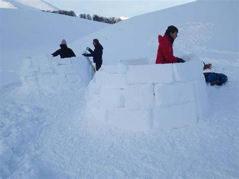 Lincredibile Esperienza Di Costruire Un Igloo E Dormirci Dentro