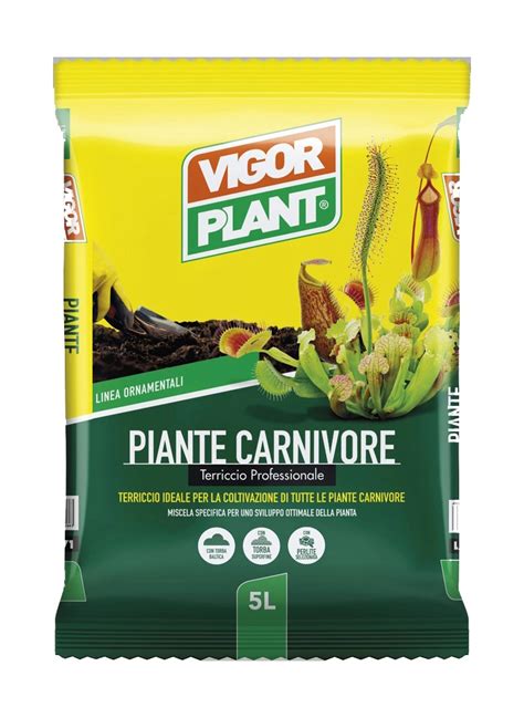 Terriccio Vigorplant Professionale Piante Carnivore L Obi