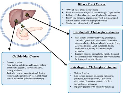 New Horizons For Precision Medicine In Biliary Tract Cancers