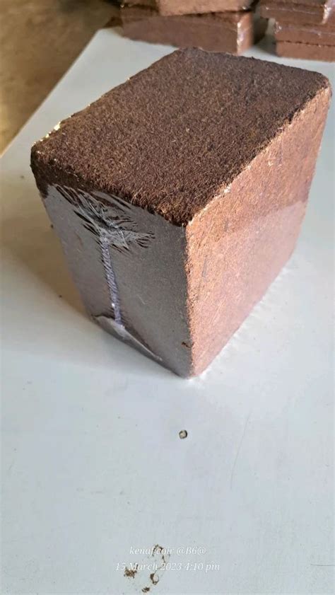 Brown Square Kg Coco Peat Block Packaging Type Box At Kg In