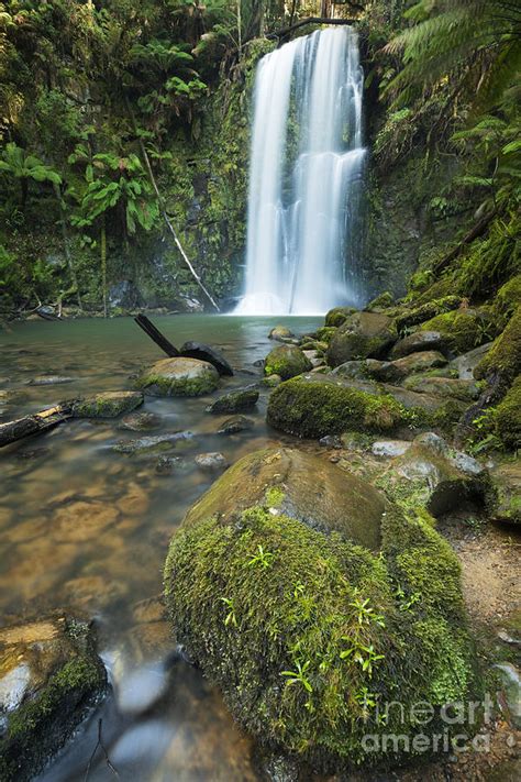 Rainforest waterfalls, Beauchamp Falls, Great Otway NP, Victoria ...