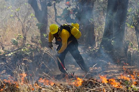 TODO LO QUE TIENES QUE SABER SOBRE LA ATENCIÓN DE UN INCENDIO FORESTAL