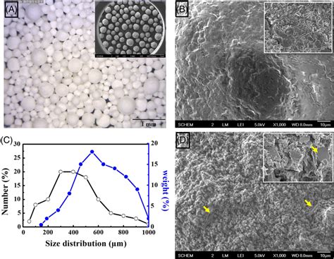 Digital Photograph Of Microsphere And SEM Image Of Microsphere In Inset