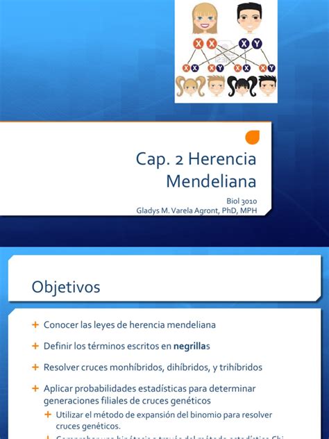 Biol 3010 Cap. 3 Herencia Mendeliana | PDF | Dominancia (Genética) | Alelo 