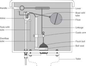 Guide To Parts Of A Toilet With Diagrams Atelier Yuwa Ciao Jp