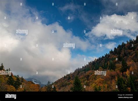 Autumn Color Is Shrouded By Afternoon Mist In The Oconaluftee Valley