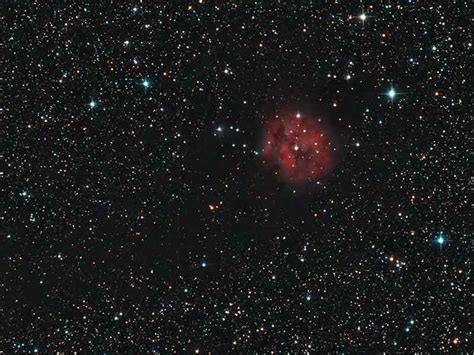 Cocoon Nebula DSLR Mirrorless General Purpose Digital Camera DSO