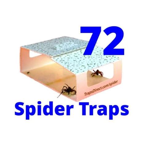 Spider Infestation Control 72 Spider Traps