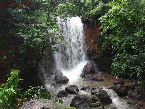 10 Mesmerizing Waterfalls in Goa You Should Visit