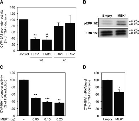 Overexpression Of The MEK ERK Kinases Partially Impairs TSA Mediated