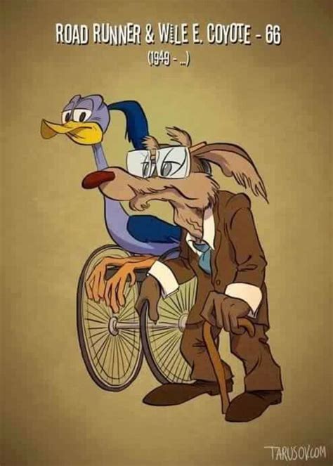 Old Road Runner And Will E Coyote By Tarusov Classic Cartoon