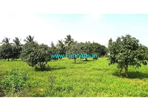 And Half Acre Farm Land Sale Near Kolar Mulabagal Highway Kolar