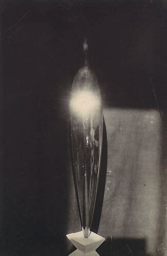 Constantin Brancusi Bird In Space