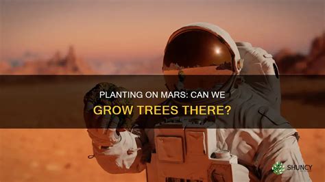plant  water  tree  mars current possibilities shuncy