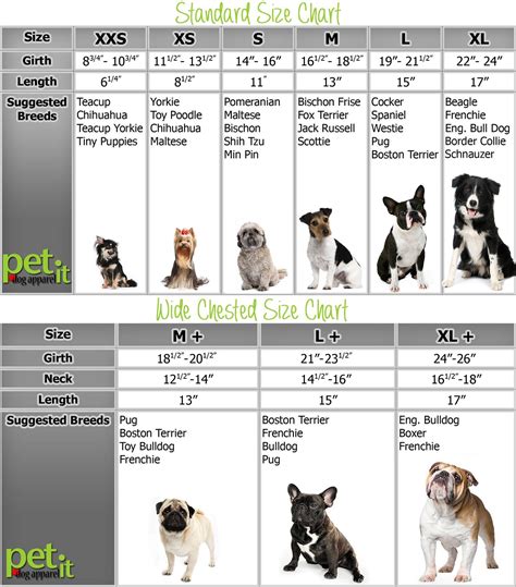 Dog clothing Size Chart: How to measure your dog to fit apparel