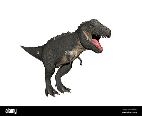 Dinosaurio Tyrannosaurus Rex Aislado Fotograf A De Stock Alamy