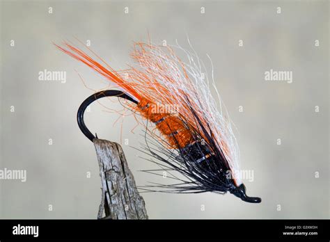 Hand Tied Artificial Steelhead Fishing Flies From The Pacific Northwest