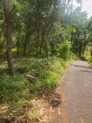 Residential Land Plot For Sale In Kannur Others Sq Yard