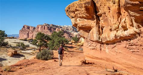 Cassidy Arch An Essential Hike In Capitol Reef National Park Earth Trekkers