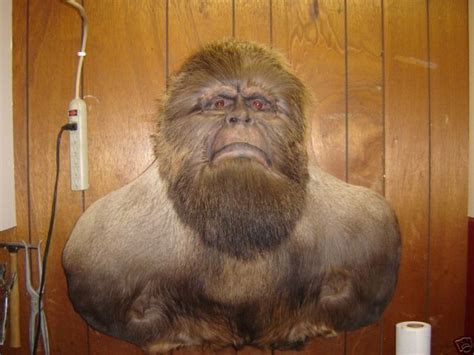 Crappy Taxidermy 60 Pics