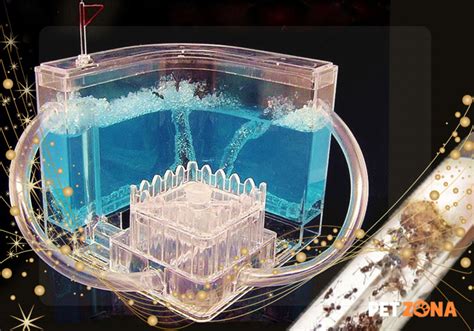 Что такое муравьиная ферма: космический аквариум для насекомых