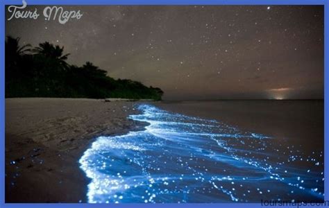 Mosquito Bioluminescent Bay