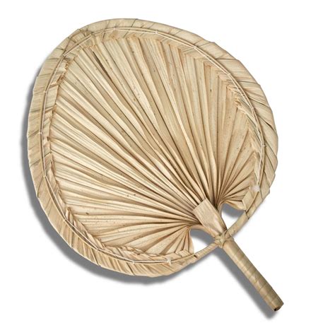 Palm Leaf Hand Fan And Wall Decor