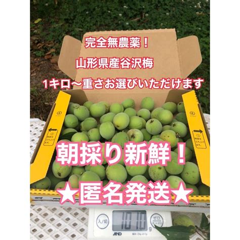 完全無農薬★山形県産谷沢梅 追熟してきてます！産地直送匿名発送1キロ 梅干し作りの通販 By Rainy★s Shop｜ラクマ